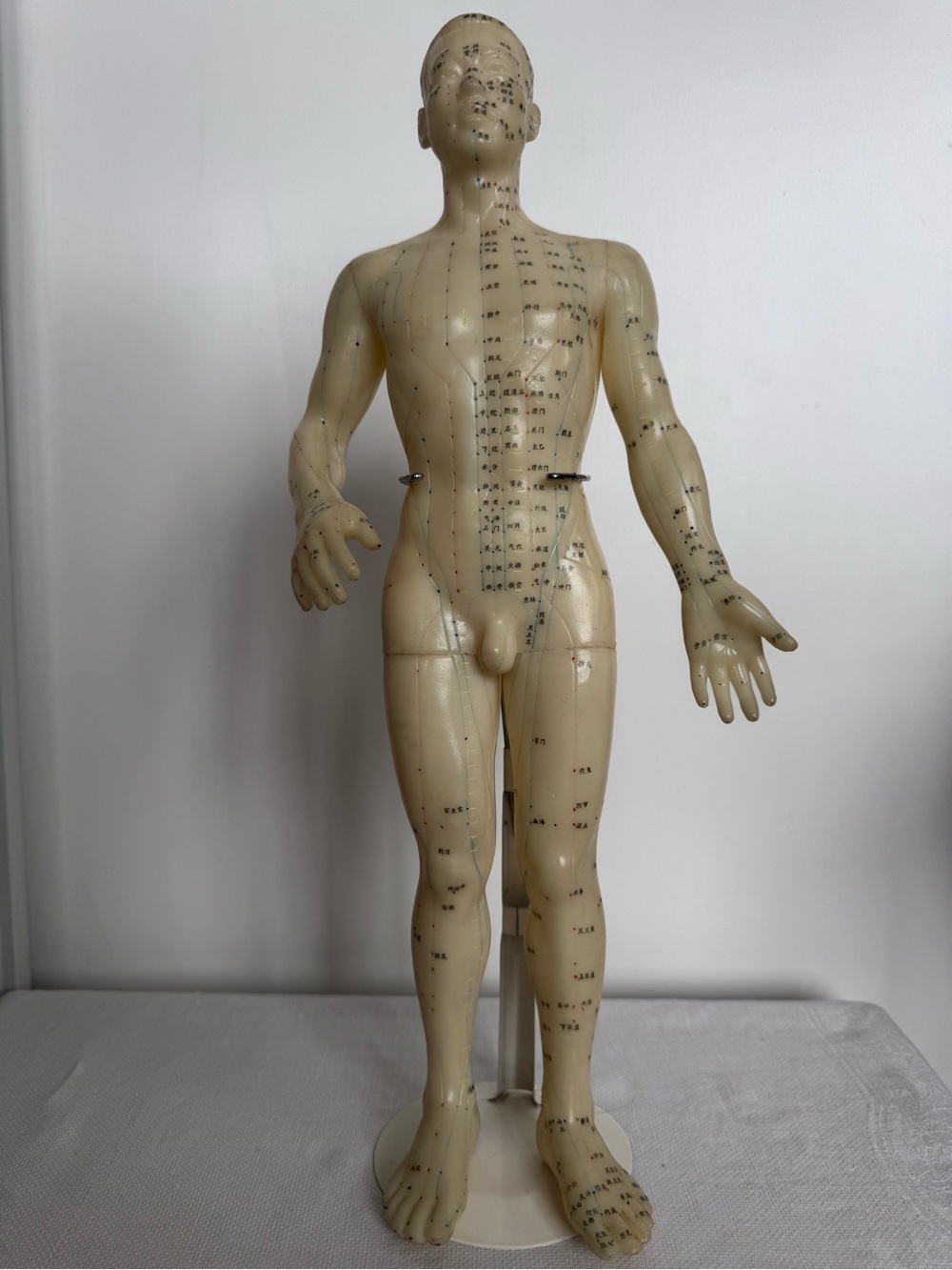 Vintage Acupuncture Model Nude Male Rubber Dummy w Vintage Avon Book - Picture 9 of 12